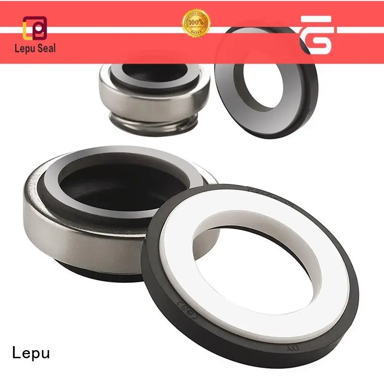Lepu on-sale eagleburgmann mechanical seal OEM high pressure 1