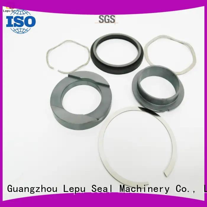 Lepu on-sale fristam pump seals OEM for beverage 1