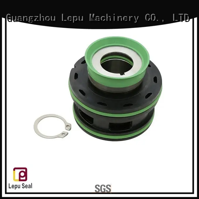 Lepu lower flygt pump seal customization for short shaft overhang 1