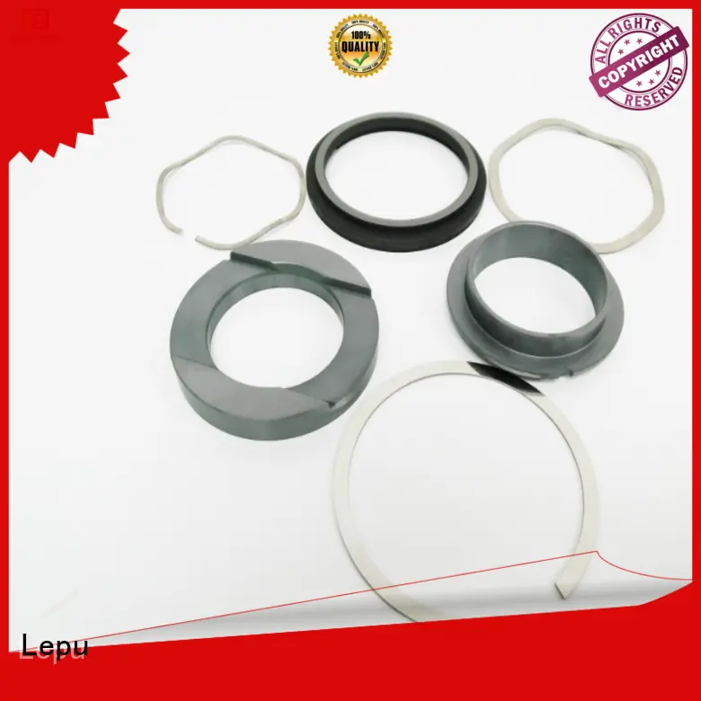 Lepu latest fristam seal customization for high-pressure applications 1