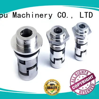 Lepu 43mm grundfos shaft seal kit free sample for sealing joints 1
