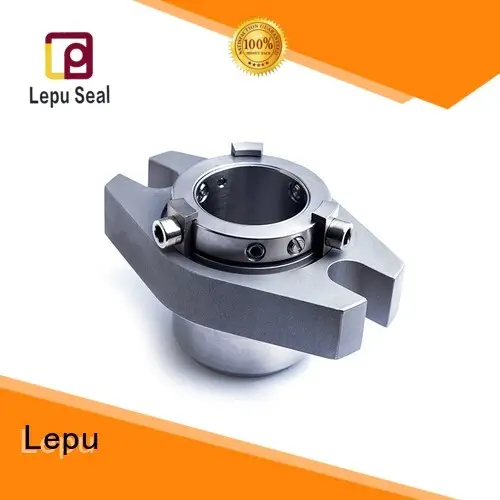 Lepu convertor aesseal mechanical seal customization for high-pressure applications 1