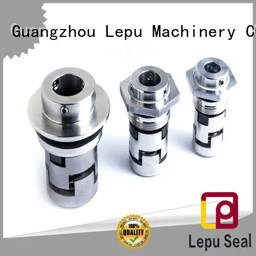 Lepu at discount grundfos pump seal replacement customization for sealing joints 1