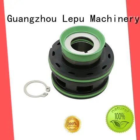 Lepu design flygt mechanical seal supplier for hanging 1
