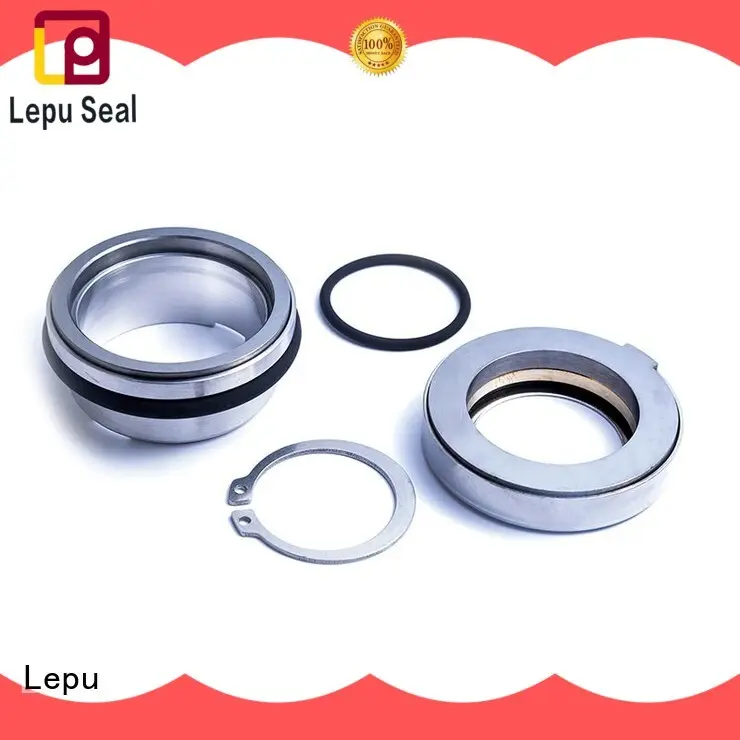 Lepu mechanical flygt pump seal for wholesale for short shaft overhang 1