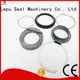 Lepu pump fristam pump seal kits customization for beverage 1
