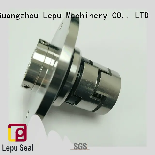 Lepu on-sale grundfos seal OEM for sealing frame 1