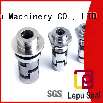 Lepu long grundfos shaft seal supplier for sealing frame 1