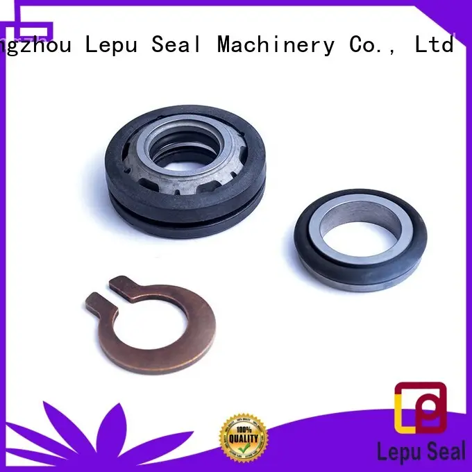 Lepu portable flygt mechanical seal buy now for short shaft overhang 1