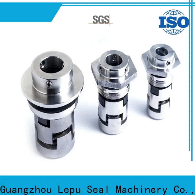 Lepu holes grundfos pump seal ODM for sealing frame 1
