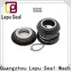 Lepu day flygt pump mechanical seal supplier for hanging 1