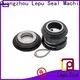 Lepu pump flygt pump mechanical seal supplier for short shaft overhang 1