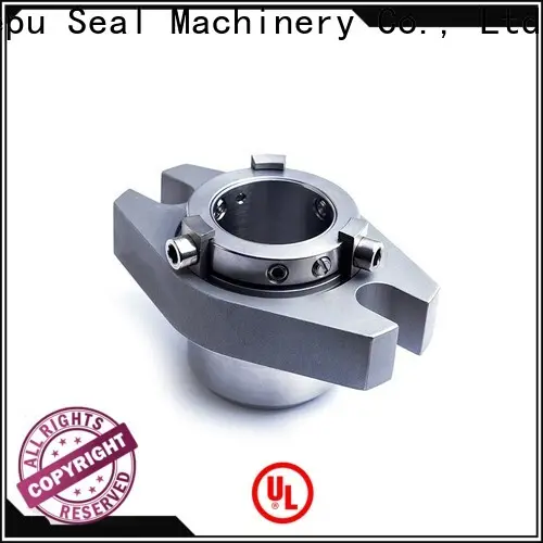Lepu at discount aesseal mechanical seal customization for high-pressure applications 1