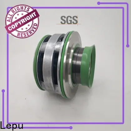 Lepu flygt Flygt Submersible Pump Mechanical Seal supplier for hanging 1