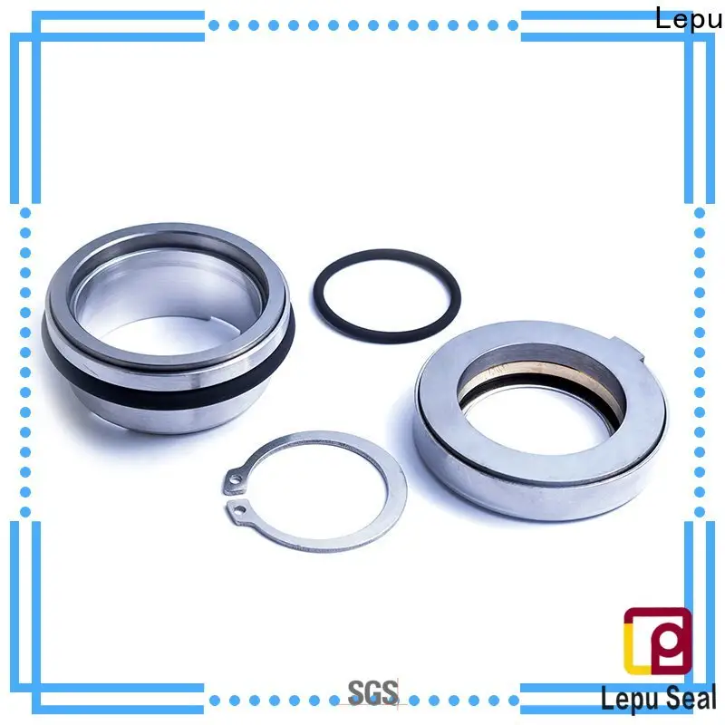 Lepu Lepu mechanical seal flygt seals company for short shaft overhang 1