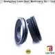 Lepu Latest Mechanical Seal for APV Pump buy now for food 1