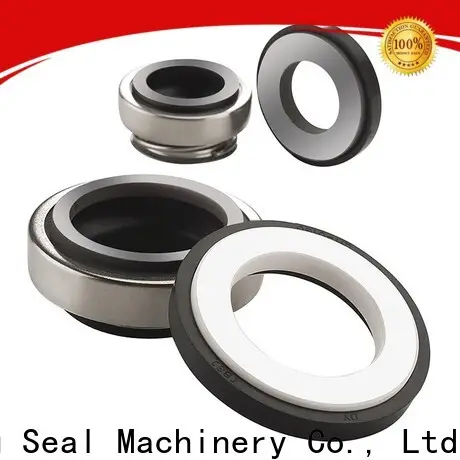 Lepu popular burgmann mechanical seal for wholesale high pressure 1