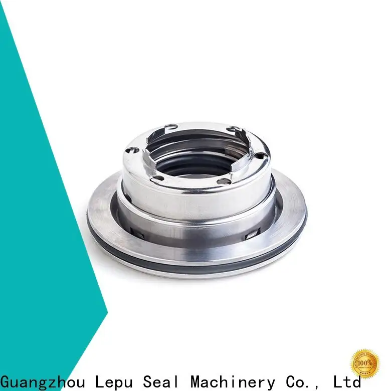 Lepu Bulk purchase custom Blackmer Pump Seal Factory for wholesale for beverage 1