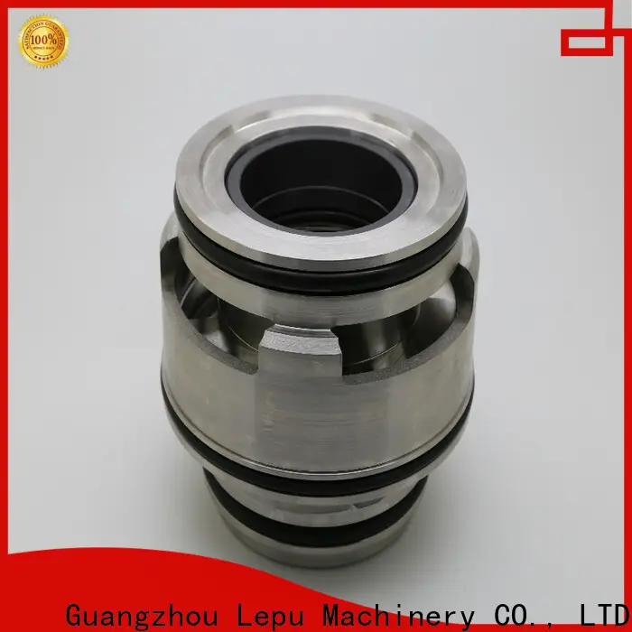 Lepu Bulk purchase custom grundfos mechanical shaft seals company for sealing joints 1