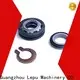 Lepu fsc flygt seals ODM for short shaft overhang 1