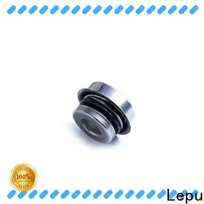Lepu Bulk purchase best water pump seals automotive customization for food 1
