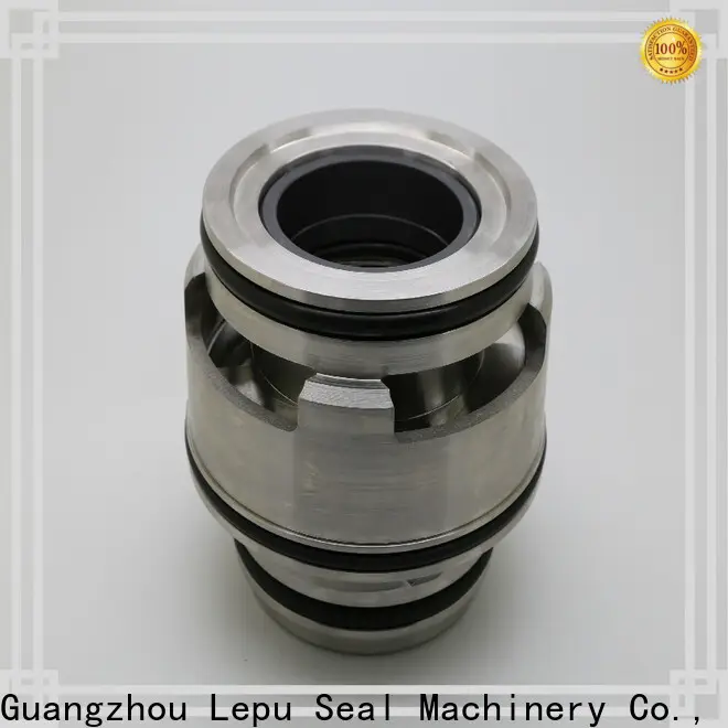 Lepu flange grundfos pump seal factory for sealing frame 1