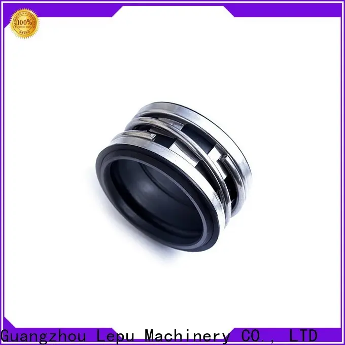 Lepu pump John Crane Mechanical Seal Type 2 manufacturer processing industries 1