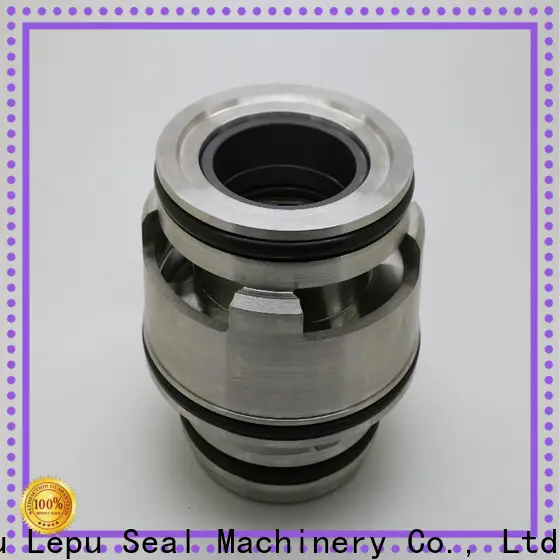 Lepu OEM grundfos shaft seal buy now for sealing frame 1