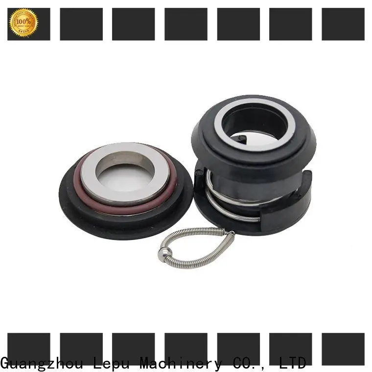 Lepu day flygt mechanical seal customization for hanging 1