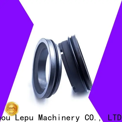 Lepu Wholesale APV Mechanical Seal manufacturers OEM for high-pressure applications 1