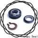 Bulk buy high quality flygt pump seal fsf best supplier for short shaft overhang 1