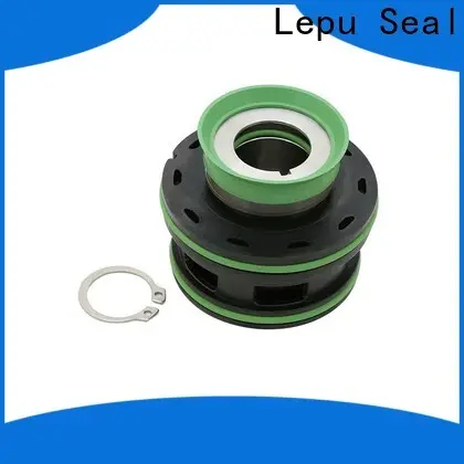 Lepu Seal 35mm flygt pump mechanical seal factory direct supply for short shaft overhang 1