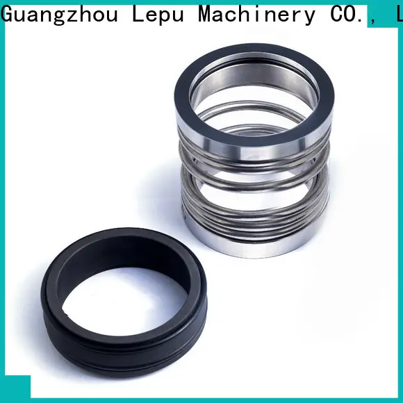 Lepu Seal Wholesale ODM nippon pillar mechanical seal buy now for food 1