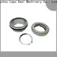 Lepu Seal design Flygt Submersible Pump Mechanical Seal supplier for short shaft overhang 1