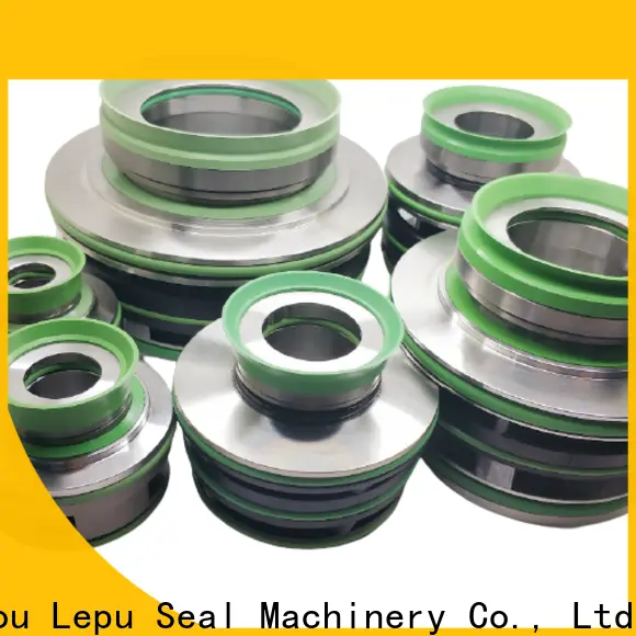 Lepu Seal Custom OEM Flygt 3152 Mechanical Seal buy now for hanging 1