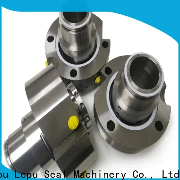 Lepu Seal on-sale burgmann mechanical seal selection guide free sample vacuum 1