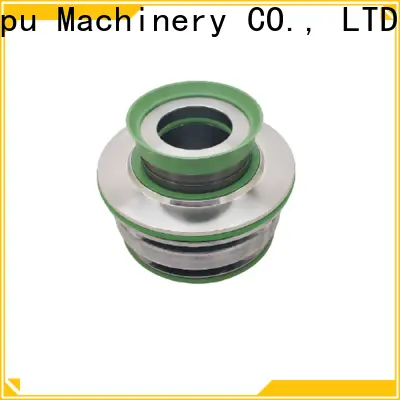 Lepu Seal lower flygt pump mechanical seal OEM for short shaft overhang 1