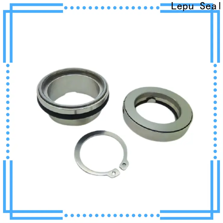 Lepu Seal OEM flygt mechanical seals best supplier for hanging 1