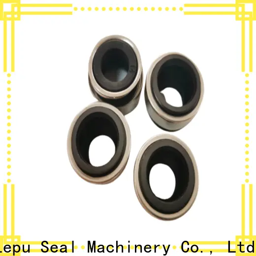 Lepu Seal Wholesale high quality burgmann mg1 seal supplier high pressure 1