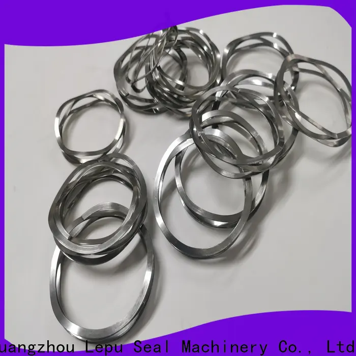 Lepu Seal Wholesale silicon carbide ring Suppliers 1
