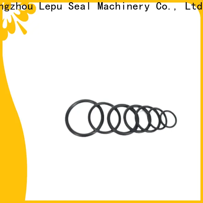 Lepu Seal sic rings Suppliers 1