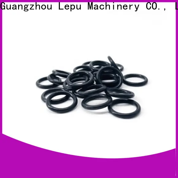 Lepu Seal silicon carbide seal rings company 1