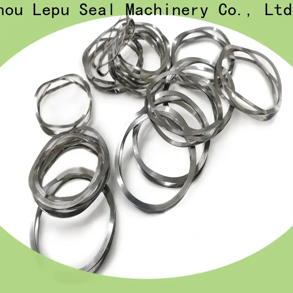 Lepu Seal sic rings for business 1