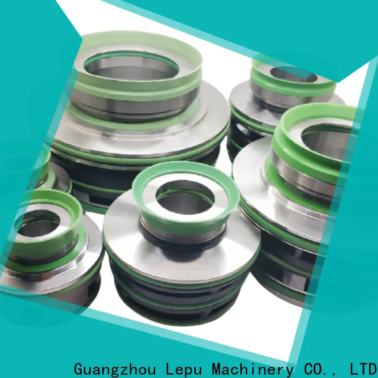 Bulk purchase best Flygt 3153 Mechanical Seal day factory for short shaft overhang 1