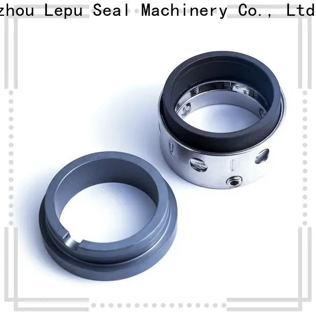 Lepu Seal Bulk purchase OEM mechanical seal pdf buy now processing industries 1