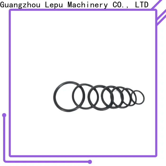 Lepu Seal silicon carbide ring manufacturers1 1