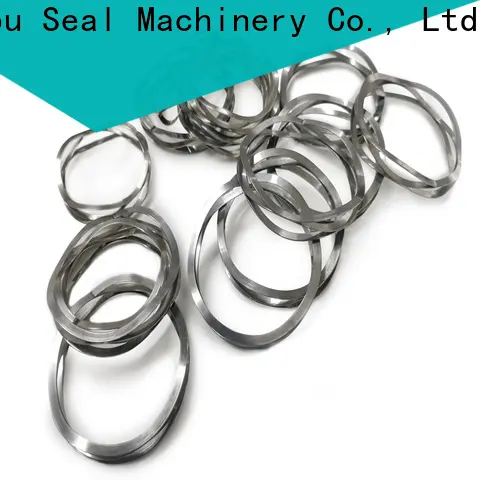 Lepu Seal Bulk purchase custom silicon carbide seal rings Suppliers 1