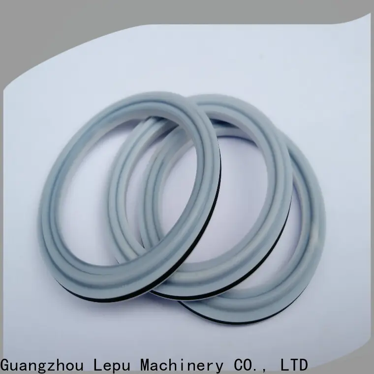 Lepu Seal OEM silicon carbide seal rings for business 1