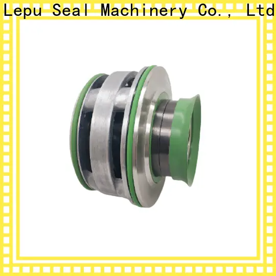 Lepu Seal Custom ODM Flygt 3153 Mechanical Seal customization for short shaft overhang 1