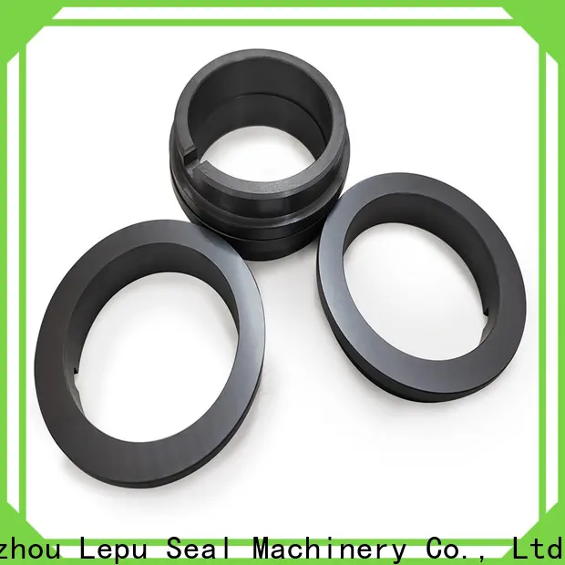Lepu Seal silicon carbide seal rings factory 1